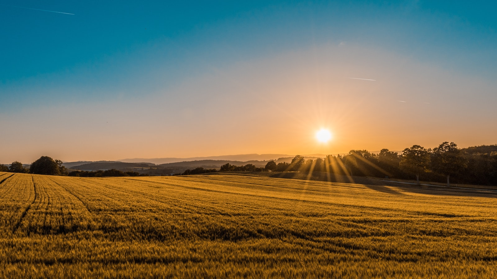 Open farmland at sunset with development potential
