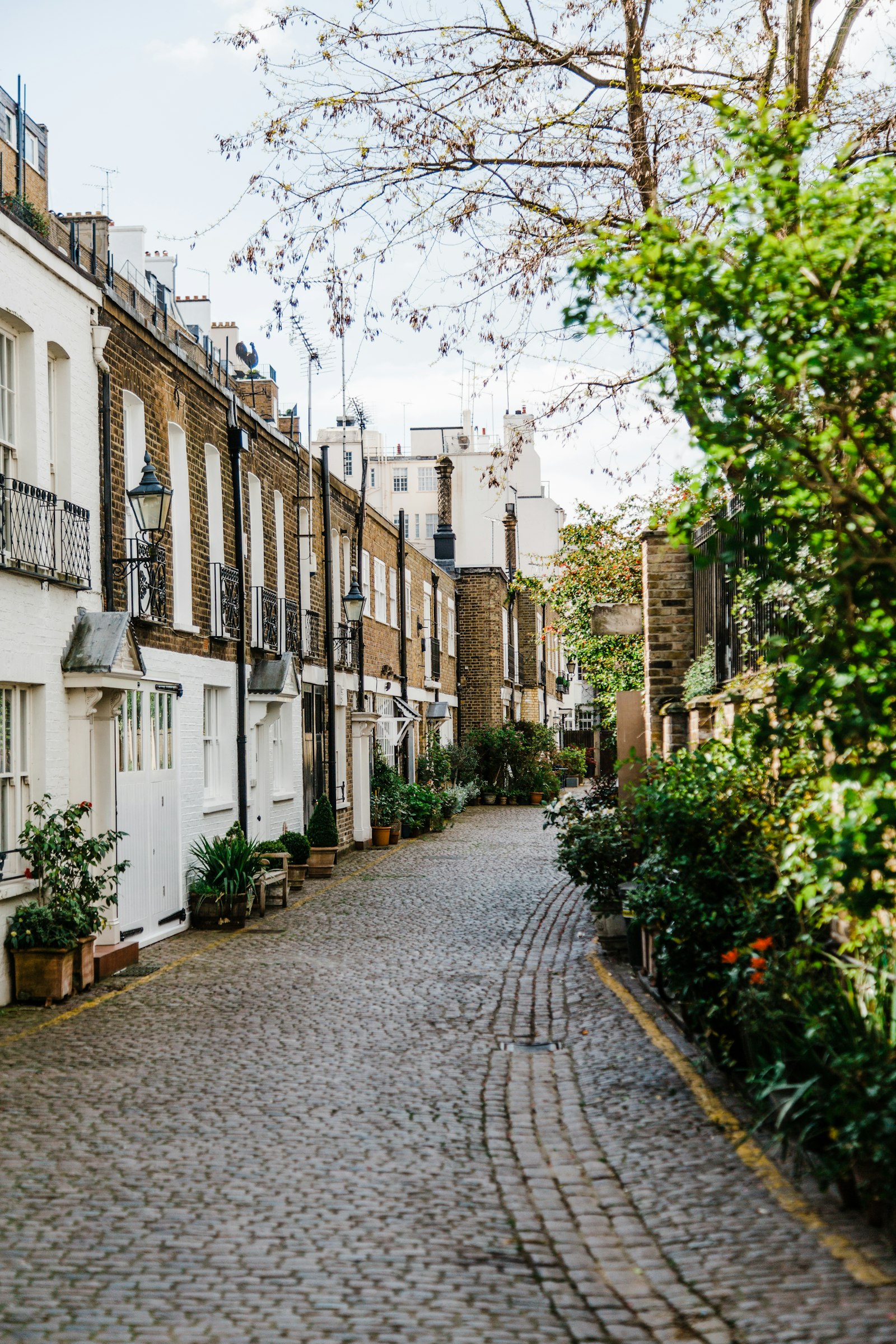 Mews street of period homes in prime central London